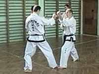 taekwondo sztuki walki