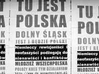 młodzież wszechpolska plakat