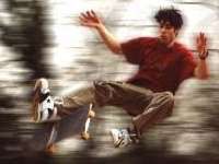 skateboard skatepark