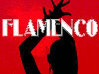 flamenco bok