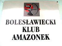 logo amazonka