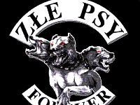 logo zespół złe psy