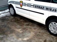 samochód straż miejska niepełnosprawny