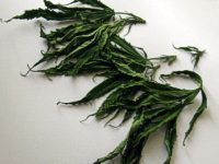 Marihuana