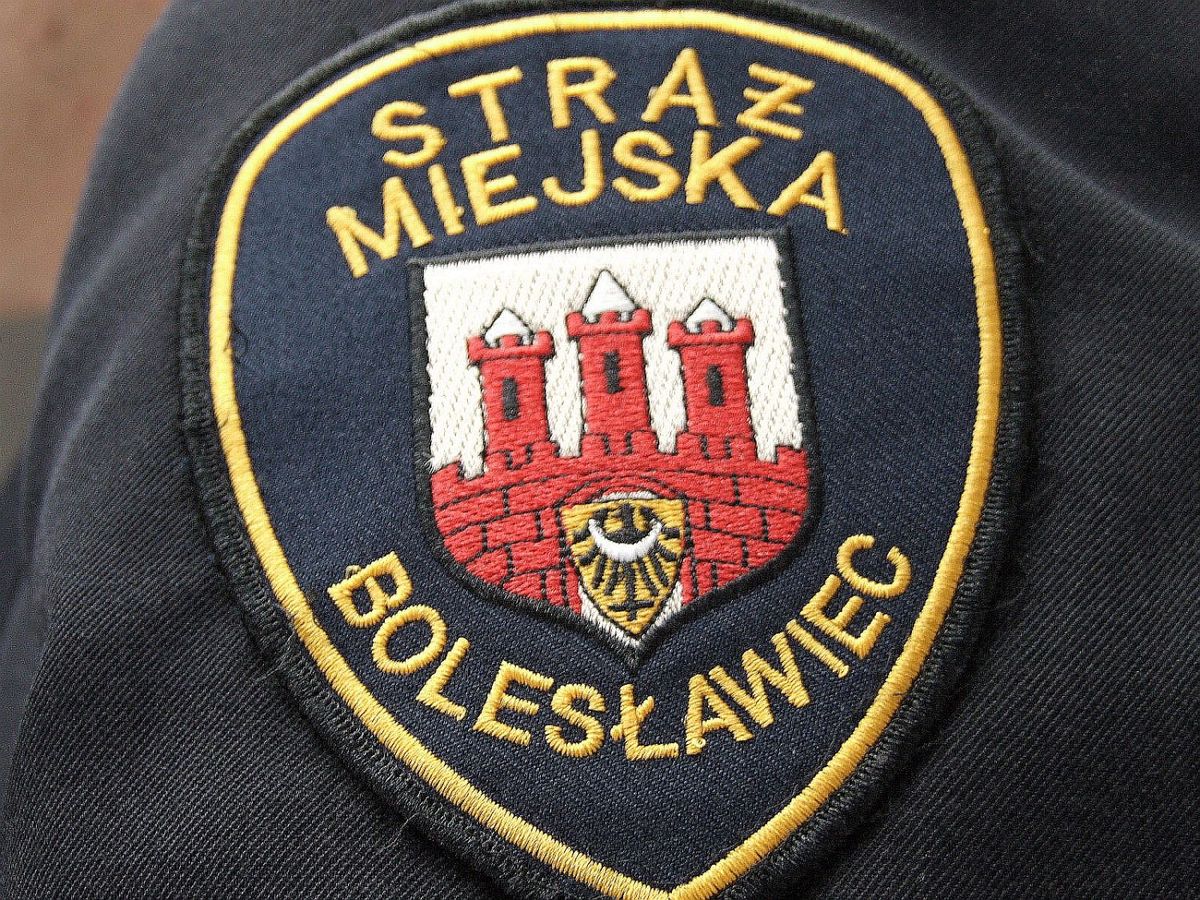 straż miejska sm naszywka