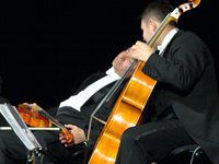 Grupa MoCarta