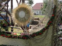 Wieniec