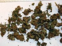 Marihuana