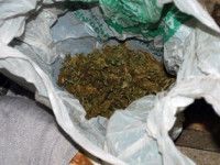 Marihuana