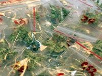 Marihuana