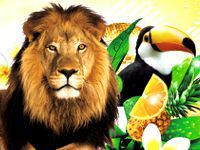 Safari Park