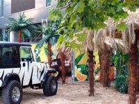 Safari Park