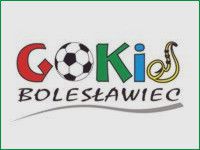 logo gokis