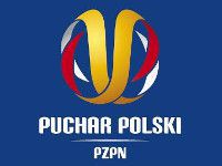 logo puchar pzpn