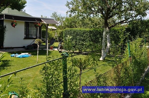 ogródek działkowy lubin