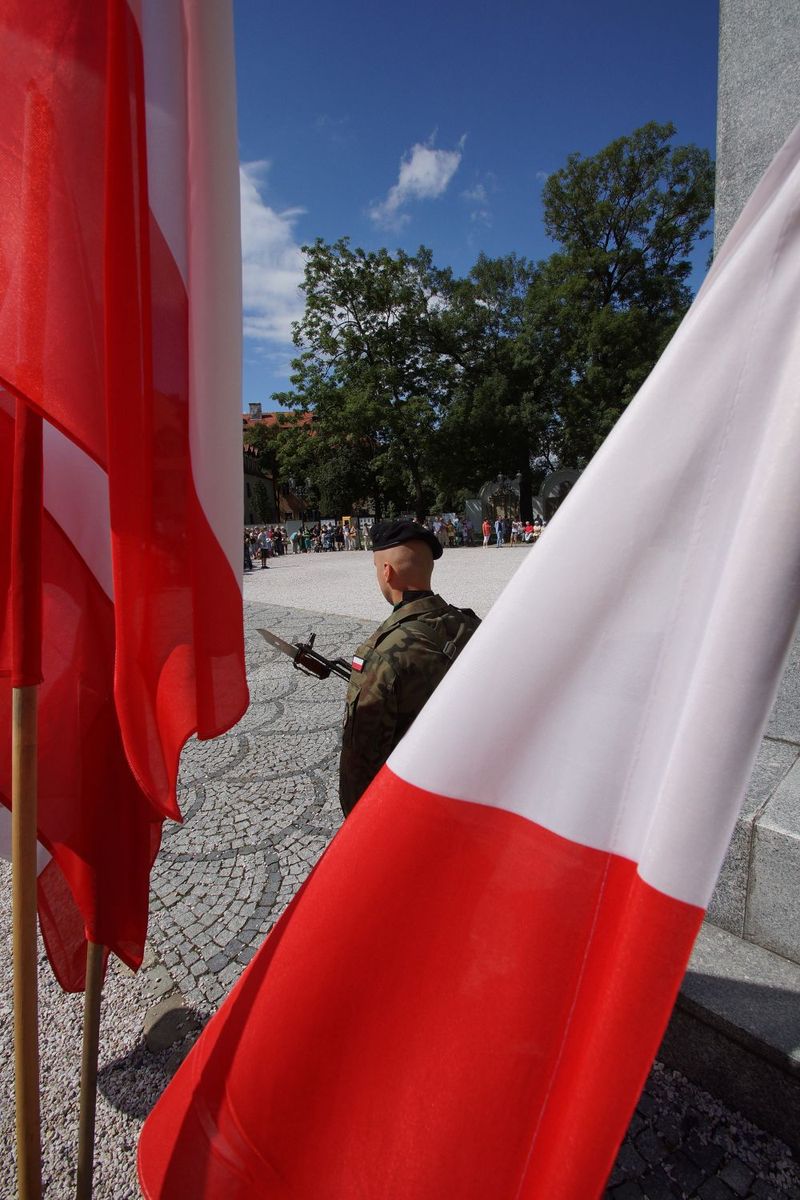 żołnierz flaga