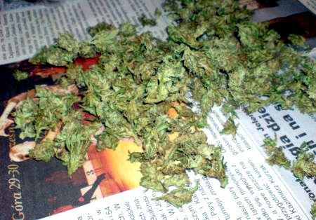 Marihuana