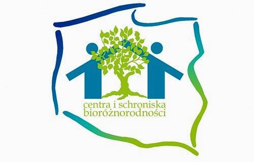 logo projekt