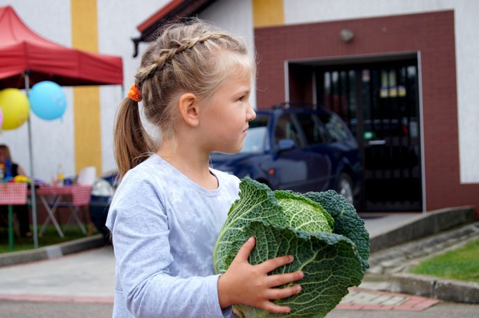 festyn kapusta kresy żeliszów