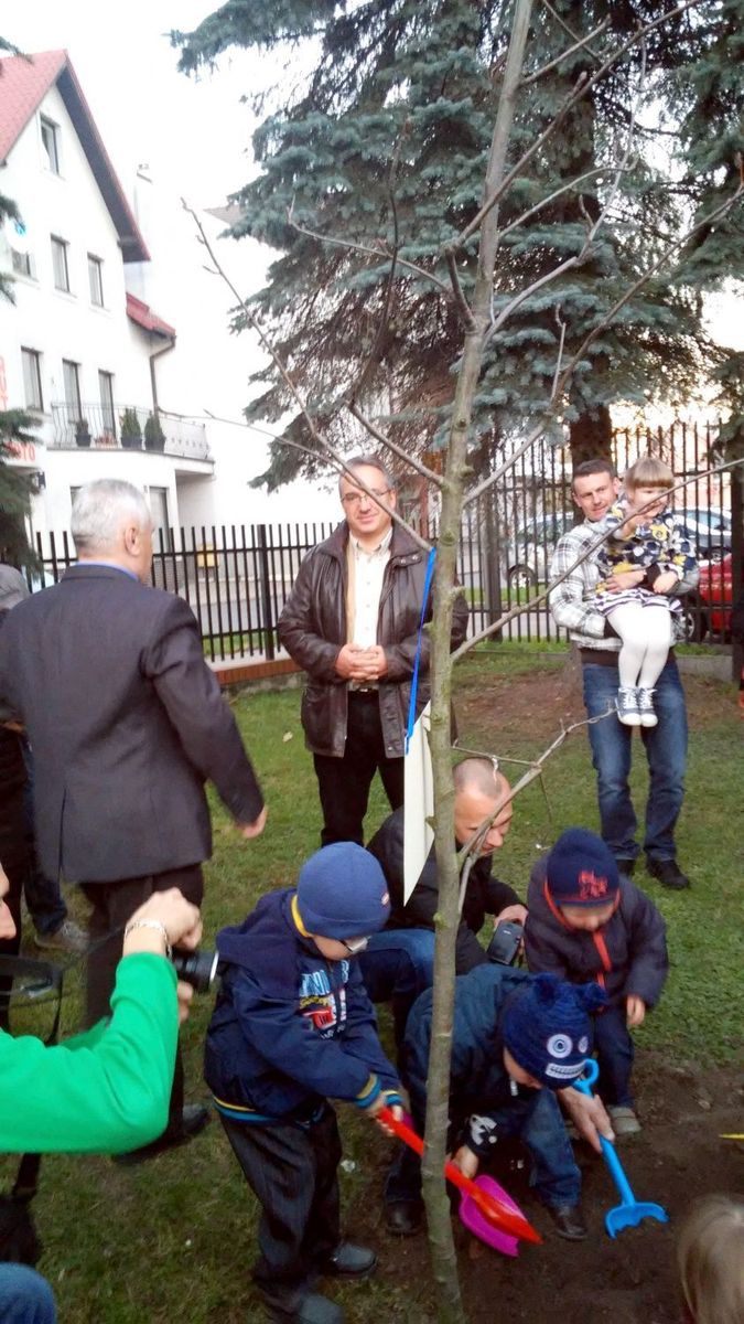 zielone przedszkola
