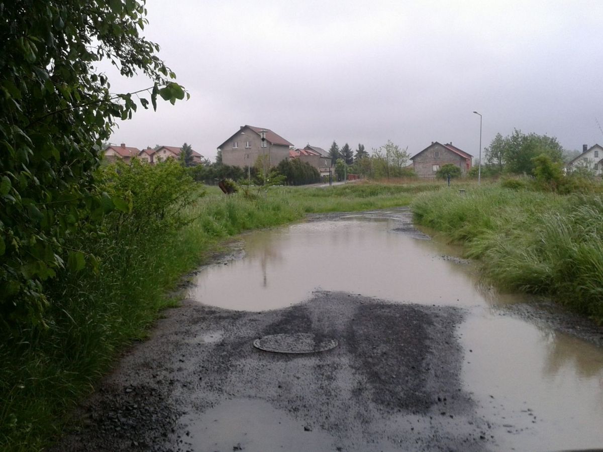 droga bolesławice