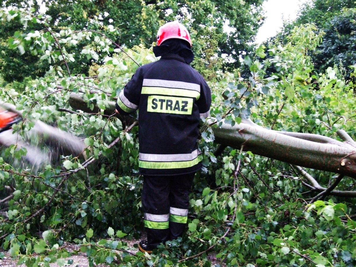 strażak drzewo wichura