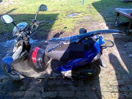 Skuter