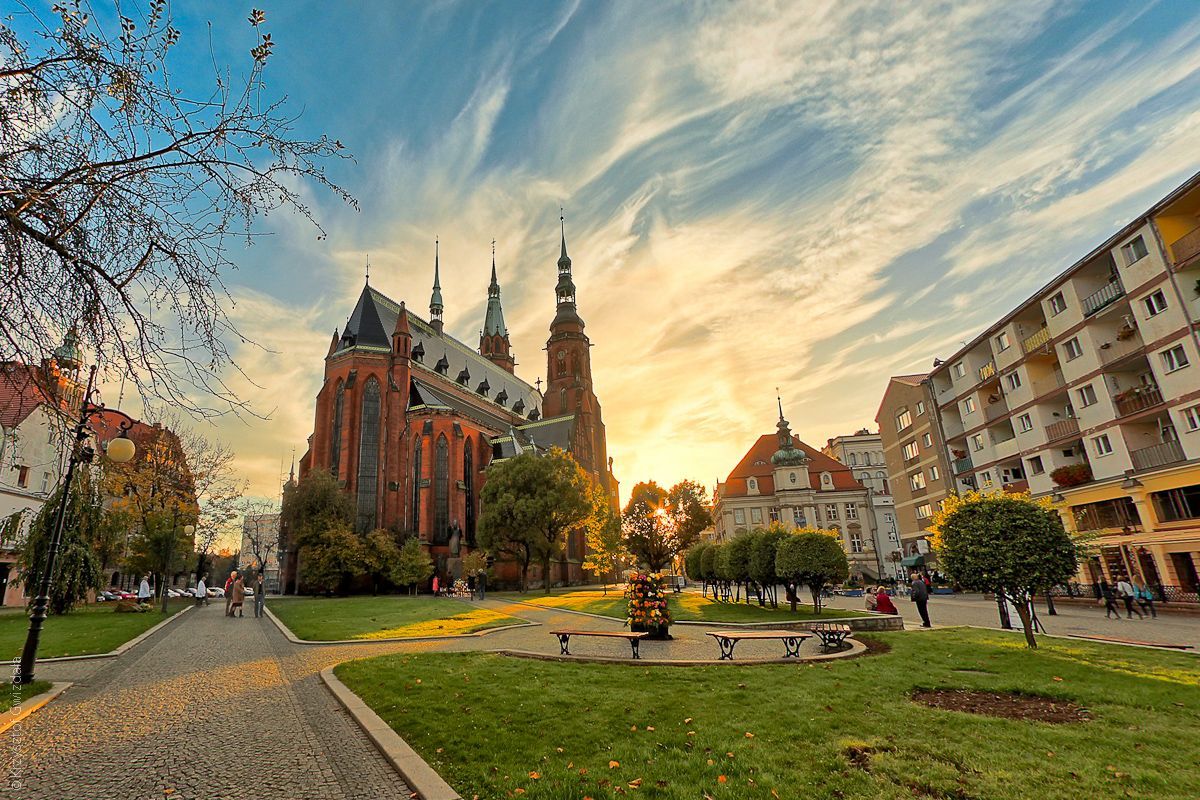 legnica katedra