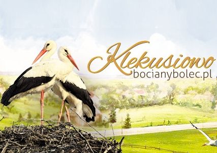 bocian