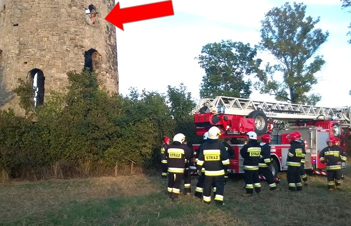 wapiennik raciborowice warta bolesławiecka