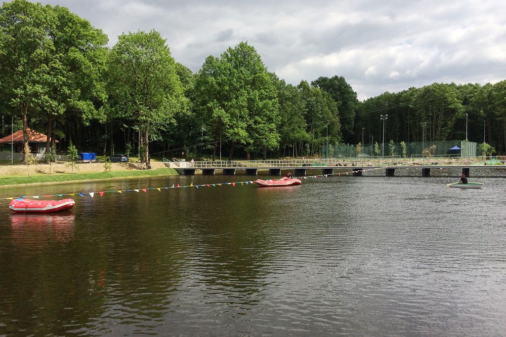 rośliny