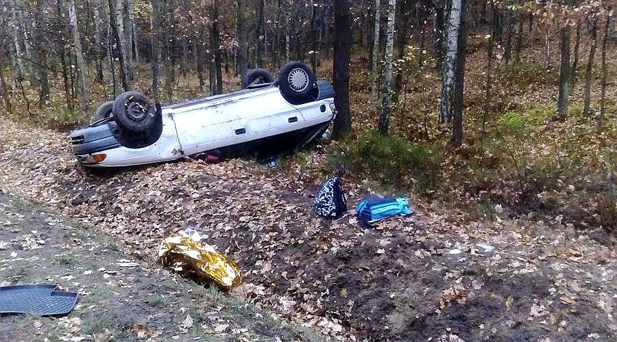 dachowanie opel osiecznica tomisław