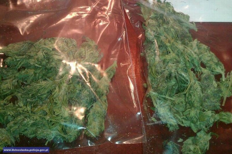 marihuana