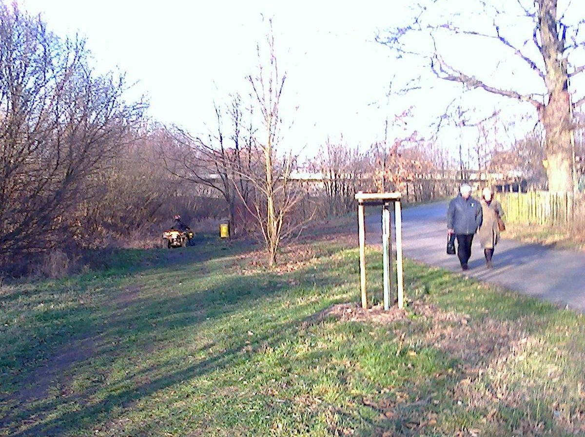 quad scieżka