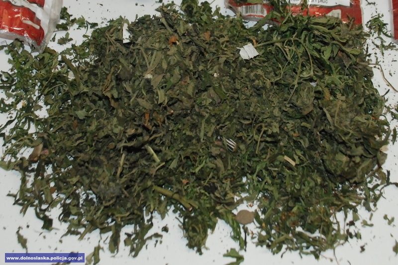 marihuana
