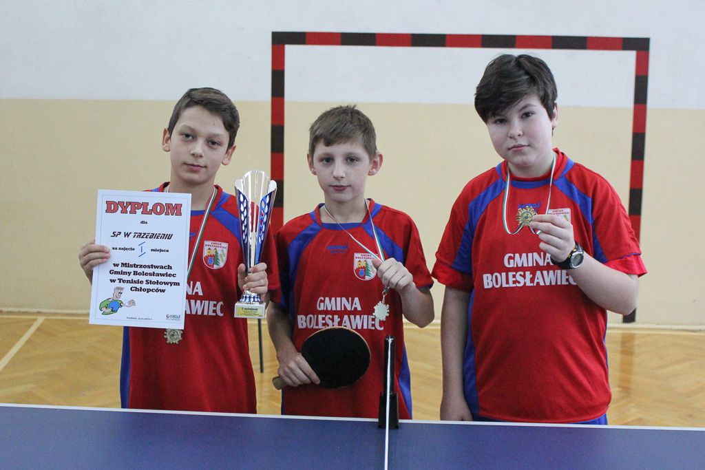 tenis stołowy