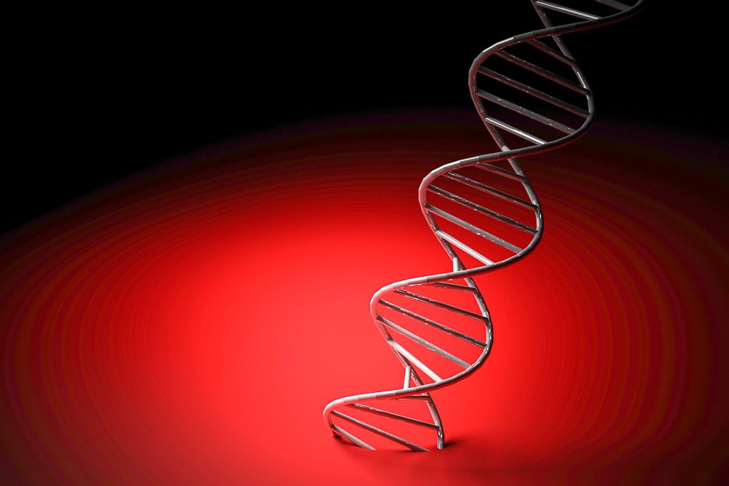 DNA