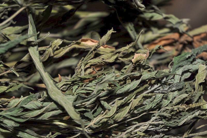 Marihuana