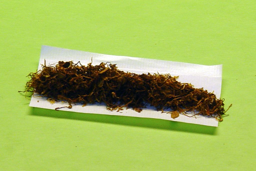 Tytoń