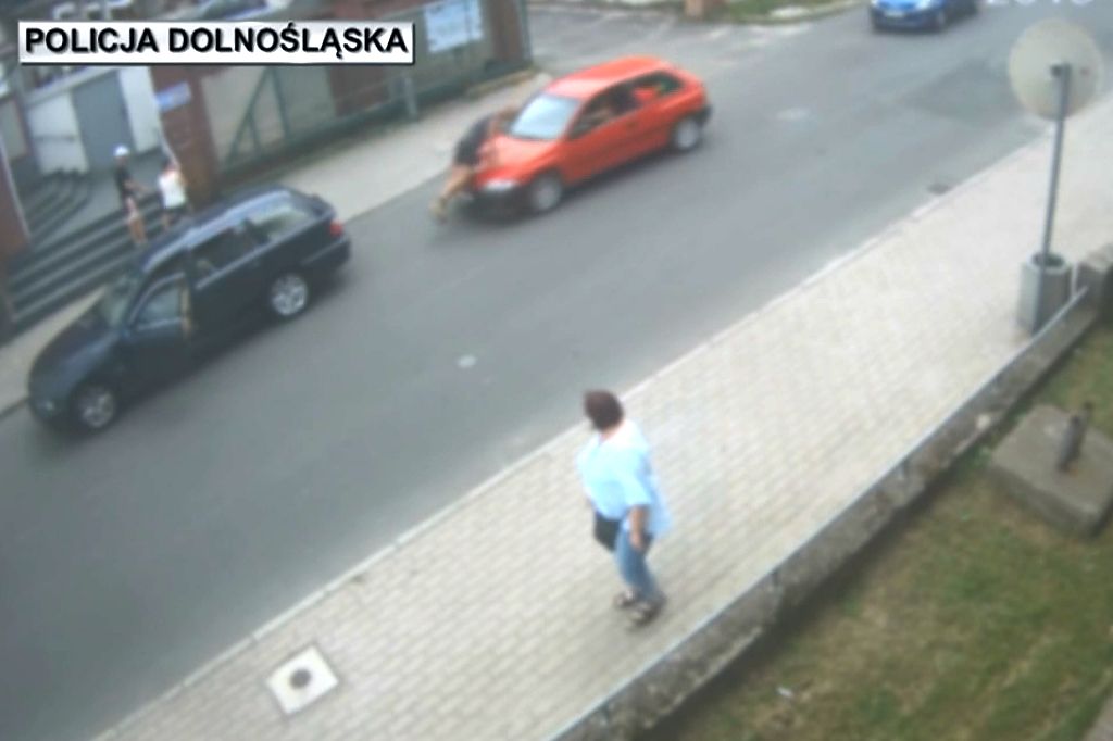 pirat lubań