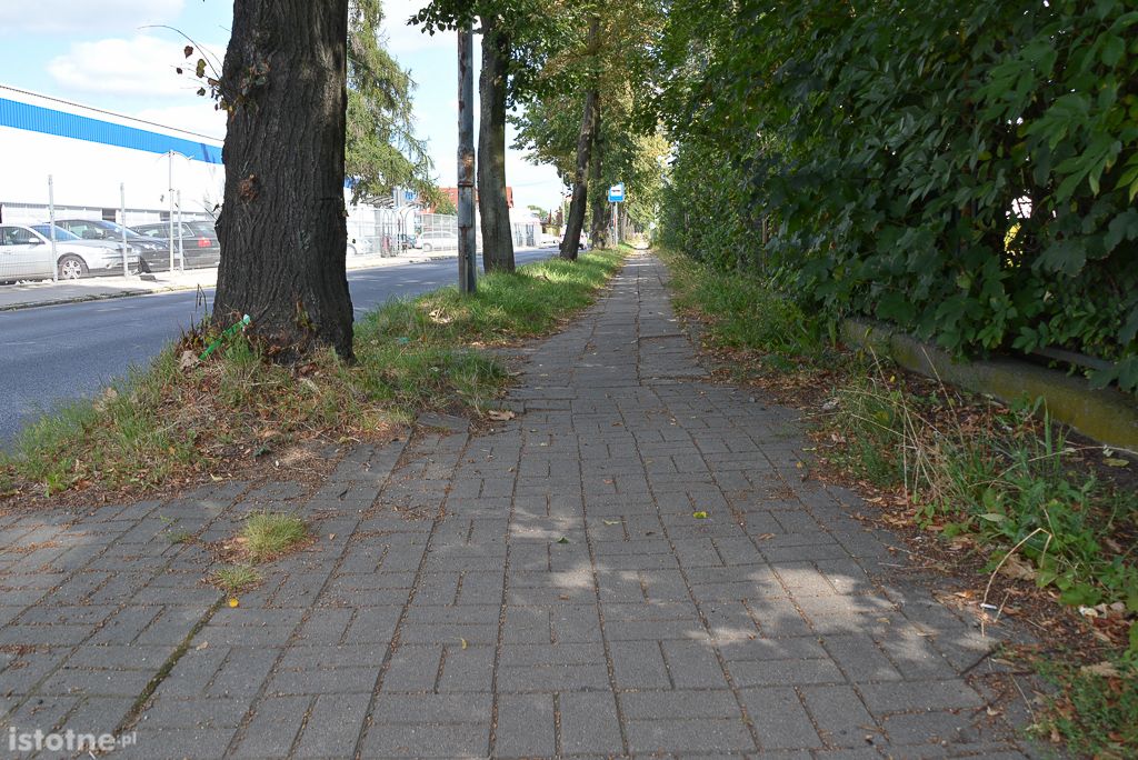 chodnik