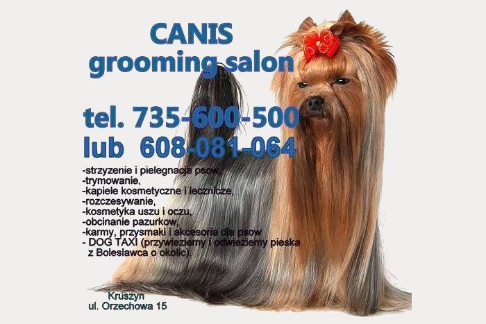 salon strzyżenie psów canis