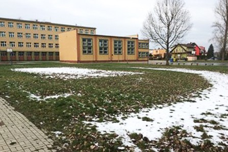 mzs1