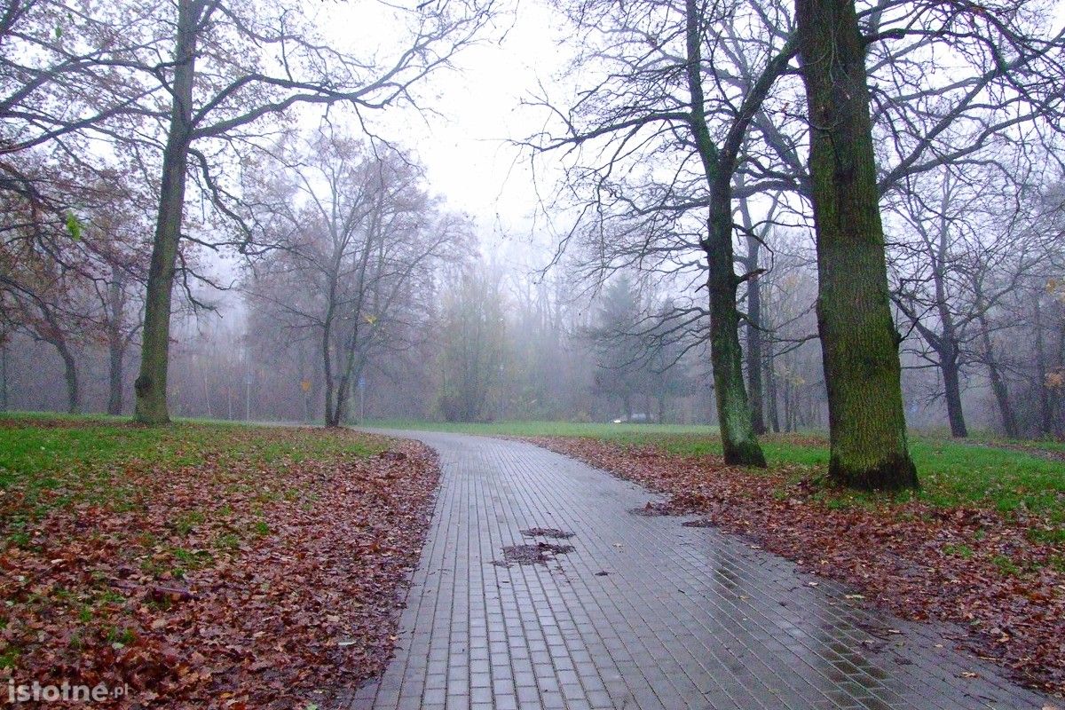 Ul. Gdańska
