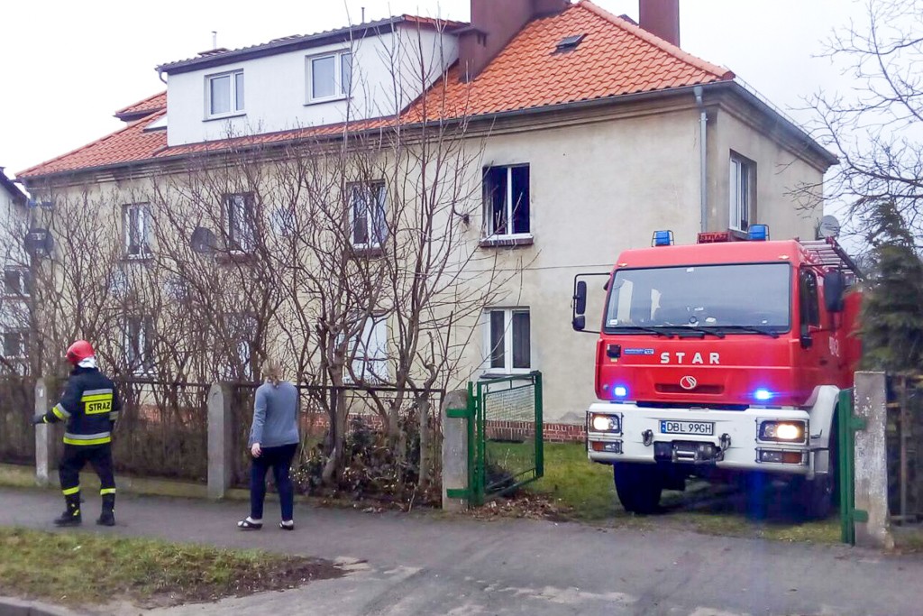 budynek