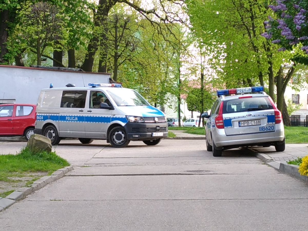 awantura policja