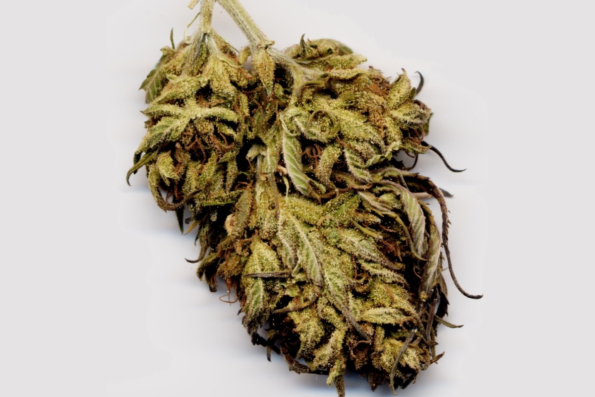 Marihuana