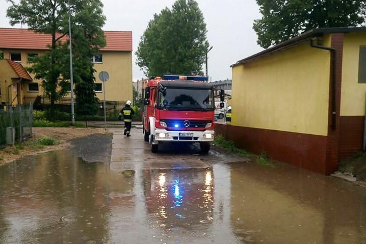 biedronka