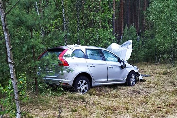 auto