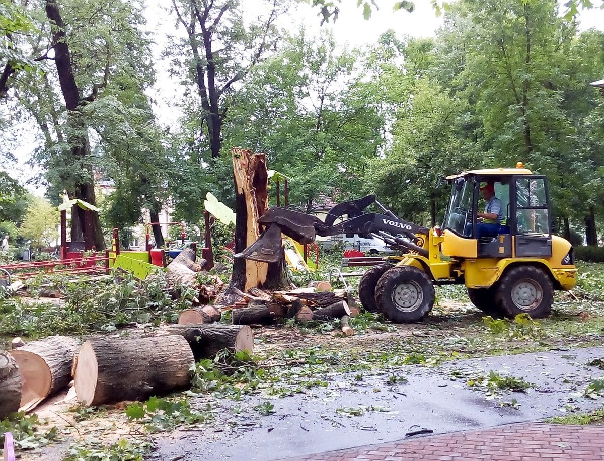 негода, міський парк